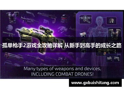 孤单枪手2游戏全攻略详解 从新手到高手的成长之路
