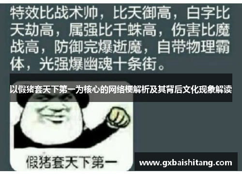 以假猪套天下第一为核心的网络梗解析及其背后文化现象解读
