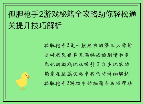 孤胆枪手2游戏秘籍全攻略助你轻松通关提升技巧解析